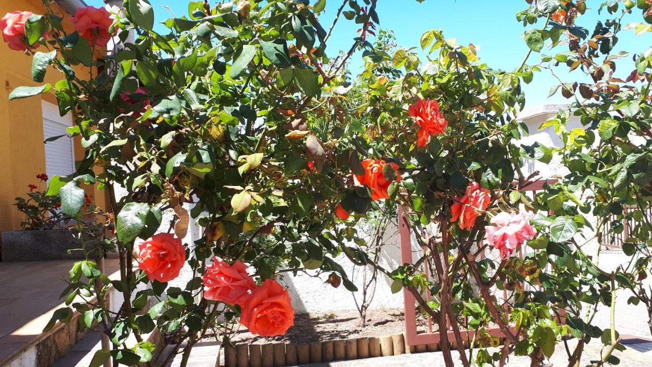 Casa Els Rosers Wifi L' Escala Екстериор снимка